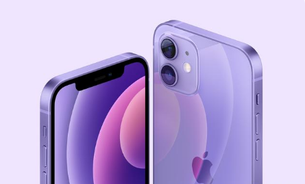 番阳镇苹果手机维修分享紫色版iPhone 12有什么技术亮点 